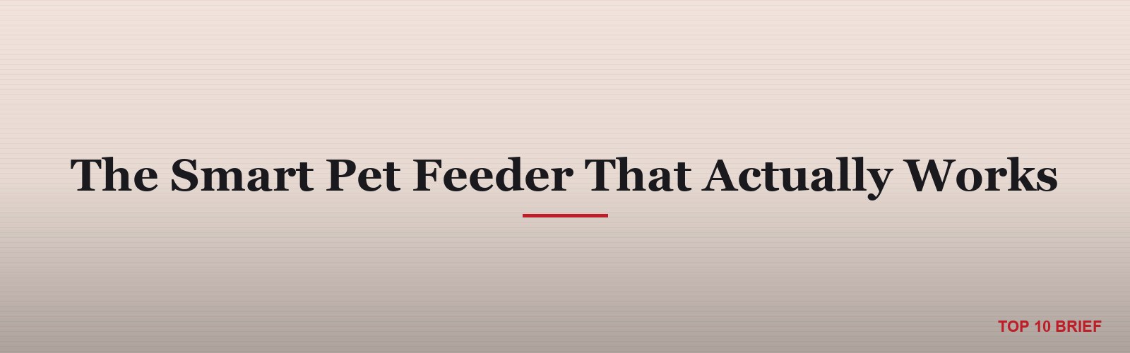 The Smart Pet Feeder That Actually Works