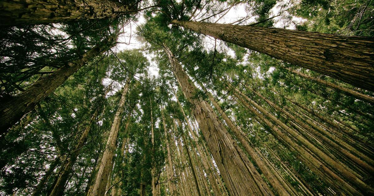 The 7 Most Anticipated Movie Sequels Coming in 2025 (And Which Ones Might Disappoint)